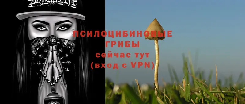 Псилоцибиновые грибы Magic Shrooms  Набережные Челны 